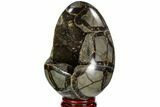 Septarian Dragon Egg Geode - Black Crystals #111232-3
